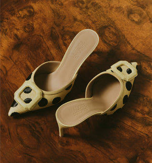 Master The Party Season display picture 1