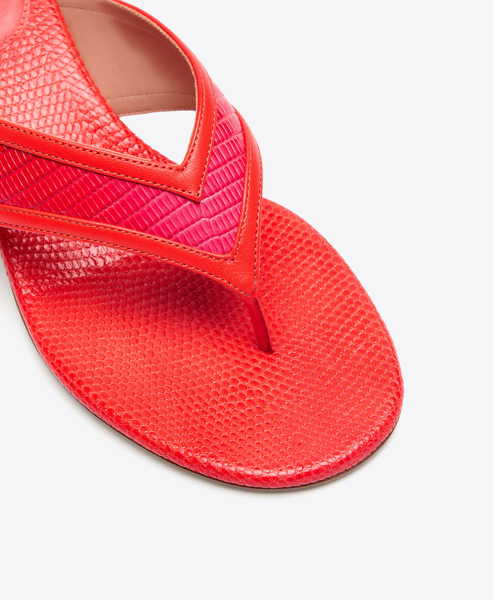 Koko 45 Thong Kitten Heel Sandals in Orange & Pink Gradient Embossed Leather Malone Souliers