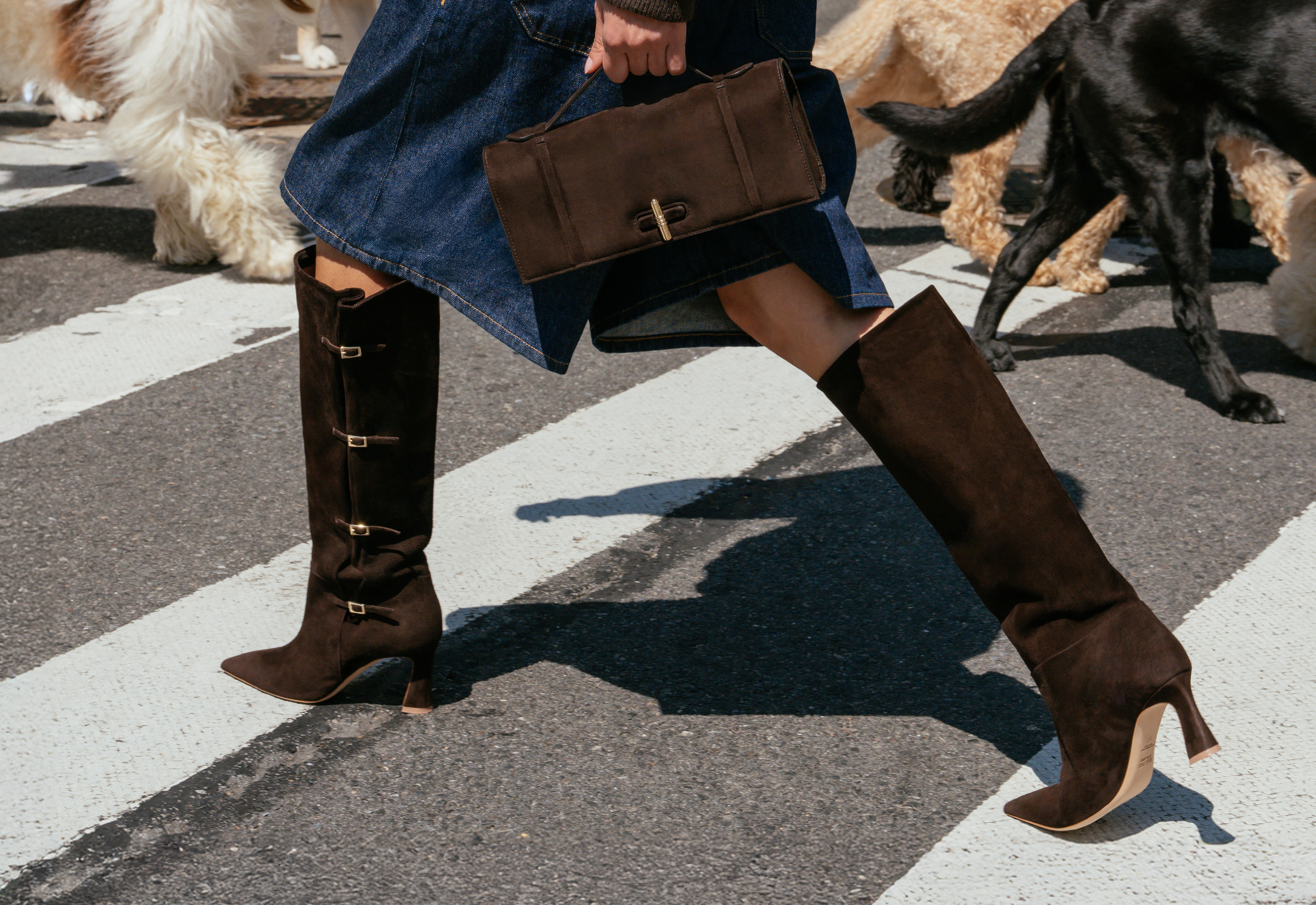 Malone Souliers Women's 70mm Dark Brown Suede Tall Boots